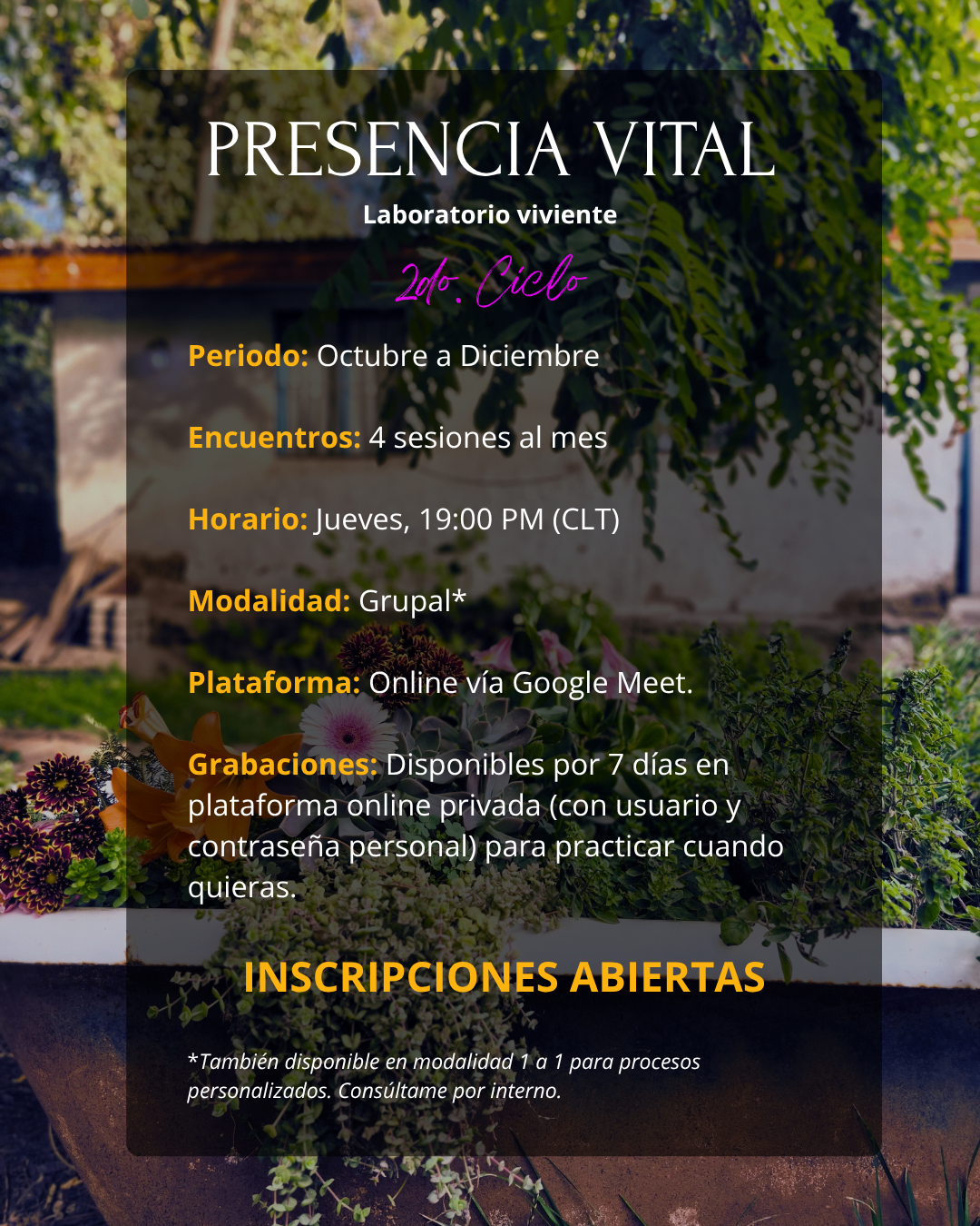Foto 6
